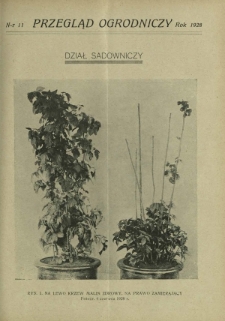 Przegląd Ogrodniczy R. 11, Nr 11 (1928)