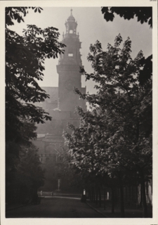 Kraków. Wieża Katedry