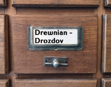 DREWNIAN-DROZDOV Katalog alfabetyczny
