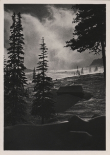 Tatry. Hala Goryczkowa