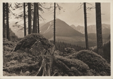 Tatry. Krajobraz z trasy kolejki linowej