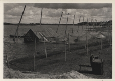 Nad brzegiem Jeziora Wigry