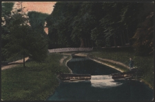 Nałęcz&oacute;w. Staw