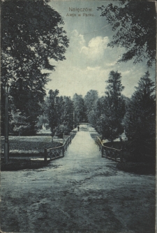Nałęczów. Aleja w Parku