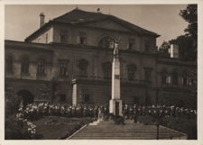 Śląsk. Cieszyn, zamek