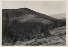 Beskid Śląski. Czantoria Wielka