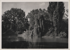 Poznań. Park Marcinkowskiego, fragment