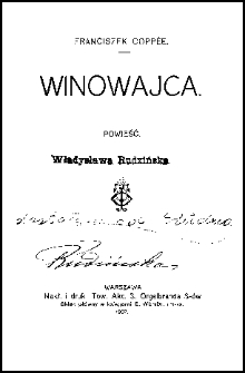 Winowajca : powieść