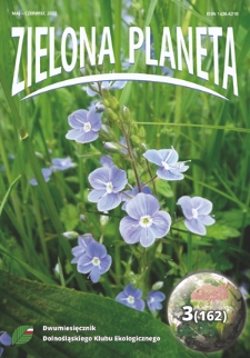Zielona Planeta : dwumiesięcznik Okręgu Dolnośląskiego PKE. - 2022, nr 3=162 (maj-czerwiec)