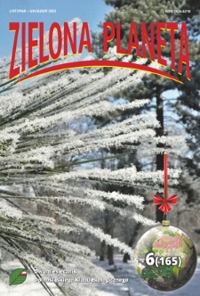 Zielona Planeta : dwumiesięcznik Okręgu Dolnośląskiego PKE. - 2022, nr 6=165 (listopad-grudzień)