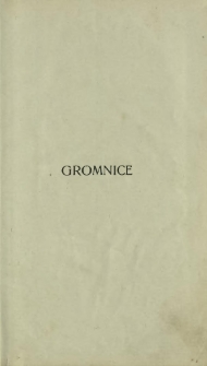 Gromnice : powieść